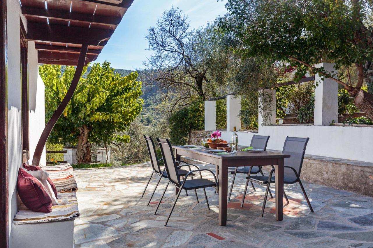 Aletri Pool Cottage Skopelos Extérieur photo